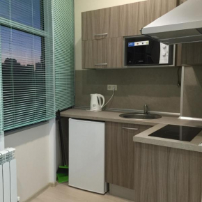 Studio Apartment na Deputatskoy 9